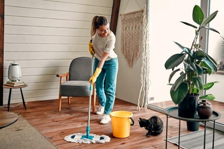 The Benefits of Hiring a Professional House Cleaning Service